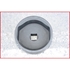Immagine di 1" Chiave a innesto cappucci ruota per BPW, 120 mm, esagonale
